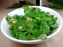 西餐必备的10种香草,你知道哪些?